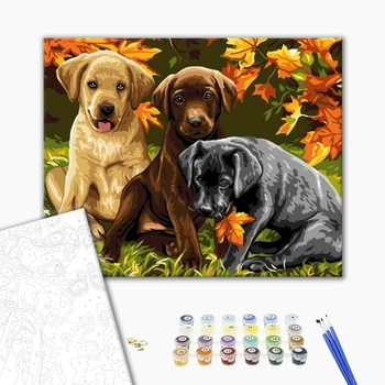 Картина по номерам Тварини, птахи та риби - Три щеночка