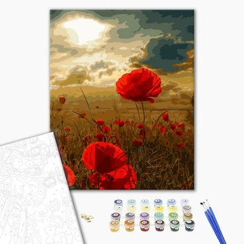 Картина по номерам Українські міста та ландшафти - Поле маков