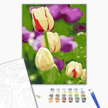 Картина по номерам Квіти - Живые тюльпаны