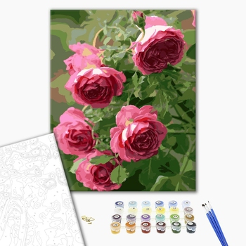 Картина по номерам Квіти - Куст розовых роз