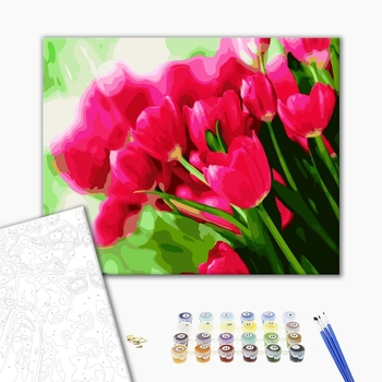 Картина по номерам Квіти - Розовые тюльпаны