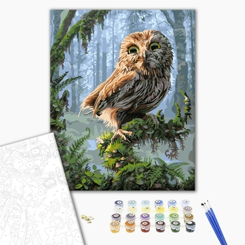 Картина по номерам Тварини, птахи та риби - Сова