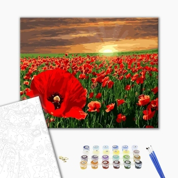 Картина по номерам Квіти - Поле маков