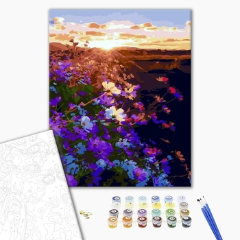Картина по номерам Пейзажі - Восход солнца на цветочном поле