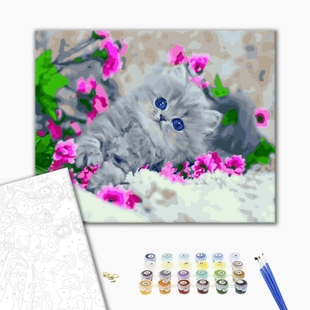 Картина по номерам Тварини, птахи та риби - Голубоглазый котенок