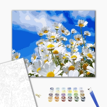 Картина по номерам Квіти - Польові ромашки