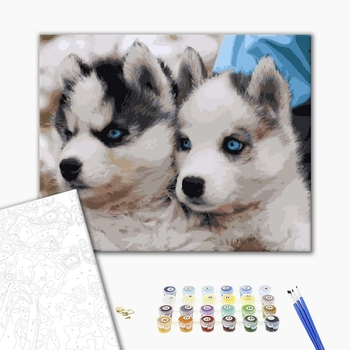 Картина по номерам Тварини, птахи та риби - Цуценята хаскі