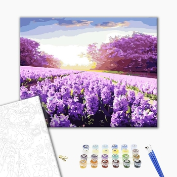 Картина по номерам Пейзажі - Лаванда під сонцем
