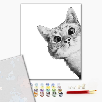 Картина по номерам Преміум картини - Загадочный кот