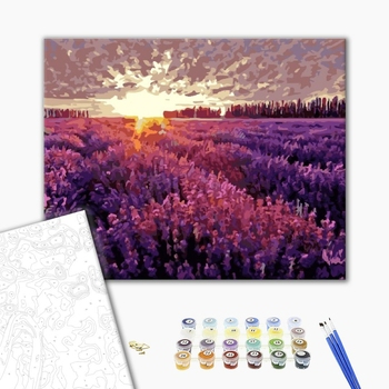 Картина по номерам Пейзажі - Лавандовое поле на закате