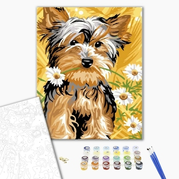 Картина по номерам Тварини, птахи та риби - Йоркширский терьер