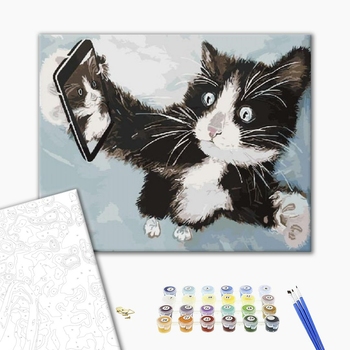 Картина по номерам Мультфільми, комікси, аніме - Кошак в полете