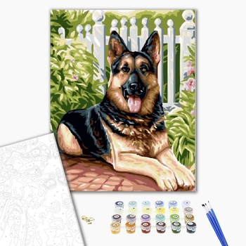 Картина по номерам Тварини, птахи та риби - Овчарка