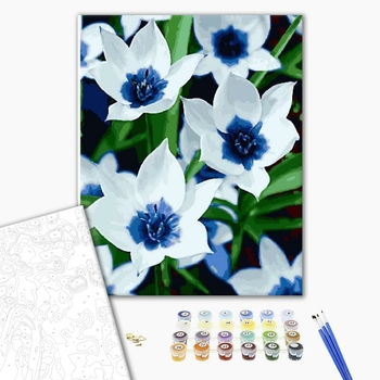 Картина по номерам Квіти - Білосніжні квіти