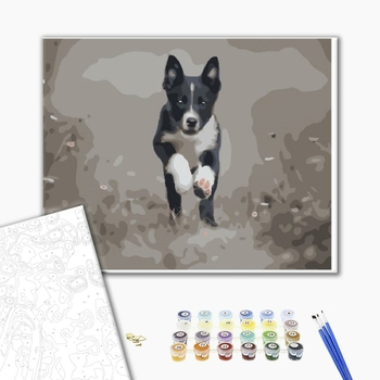 Картина по номерам Тварини, птахи та риби - Дружок, який біжить