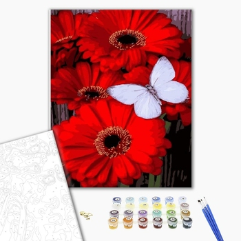 Картина по номерам Для початківців - Метелик на Герберах