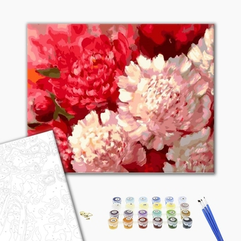 Картина по номерам Квіти - Контрастні півонії