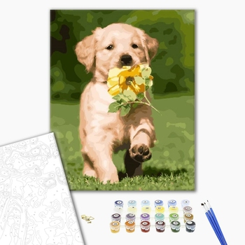 Картина по номерам Тварини, птахи та риби - Щеня лабрадора
