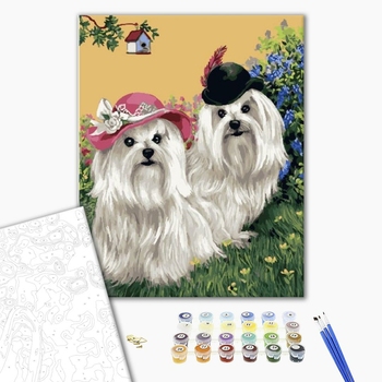 Картина по номерам Тварини, птахи та риби - Кошлаті білі болонки