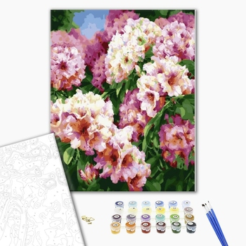 Картина по номерам Квіти - Садові піони