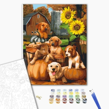 Картина по номерам Тварини, птахи та риби - Собаки у соняшнику