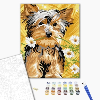 Картина по номерам Тварини, птахи та риби - Мила собачка