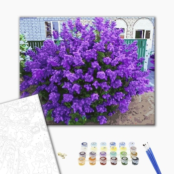 Картина по номерам Квіти - Персидская сирень