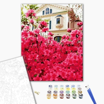 Картина по номерам Города - Будинок у квітах