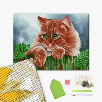 Алмазна мозаїка 40х50 - Зеленоокий кіт