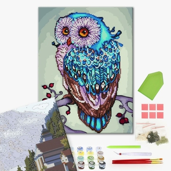 Комбінована алмазна мозаїка - Красива сова