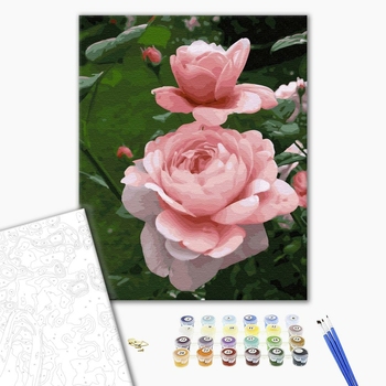 Картина по номерам Квіти - Нежность