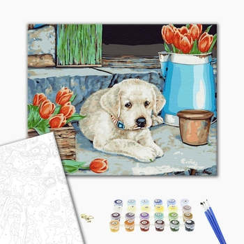 Картина по номерам Тварини, птахи та риби - Щеня лабладора