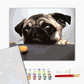 Картина по номерам Преміум картини - Мопс