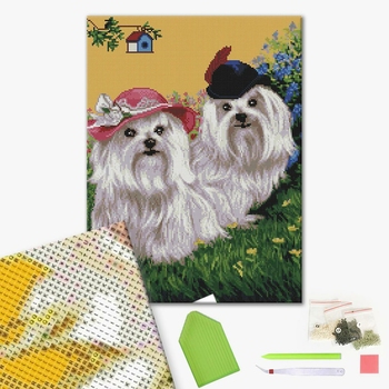 Алмазна мозаїка 40х50 - Милі болонки