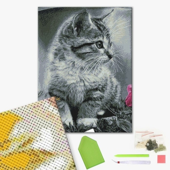 Алмазна мозаїка 40х50 - Кошеня