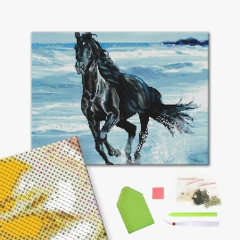 Алмазна мозаїка 40х50 - Чорний скакун