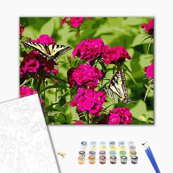 Картина по номерам Натюрморти - Метелики на квітах