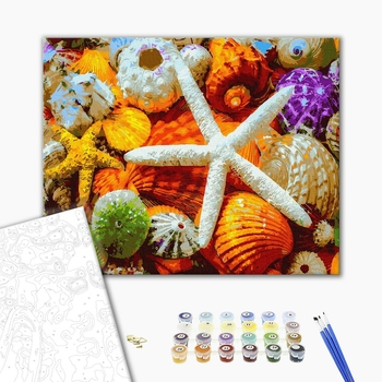 Картина по номерам Натюрморти - Морські скарби