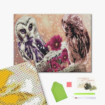 Алмазна мозаїка 40х50 - Совина пара