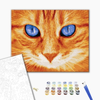 Картина по номерам Тварини, птахи та риби - Блакитноокий рижуля