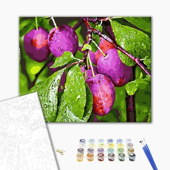 Картина по номерам Натюрморти - Сливи