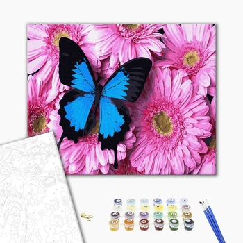 Картина по номерам Квіти - Метелик на рожевих хризантемах