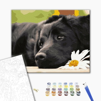 Картина по номерам Тварини, птахи та риби - Зачекавшись господаря