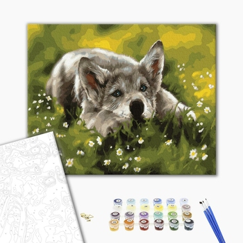 Картина по номерам Тварини, птахи та риби - Собачка в траві