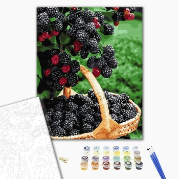 Картина по номерам Натюрморти - Стигла ожина