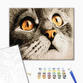Картина по номерам Тварини, птахи та риби - Погляд котика Сірка