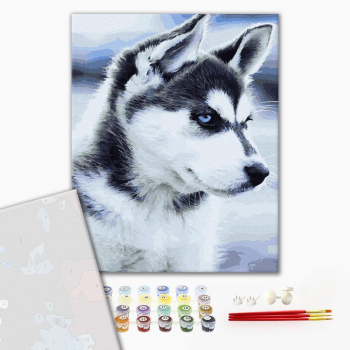 Картина по номерам Преміум картини - Цуценя Хаскі