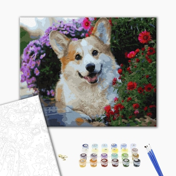 Картина по номерам Тварини, птахи та риби - Коргі в квітах
