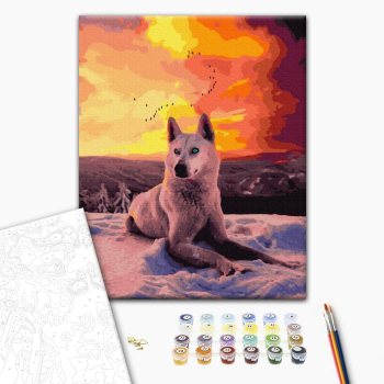 Картина по номерам Тварини, птахи та риби - Арктичний вовк