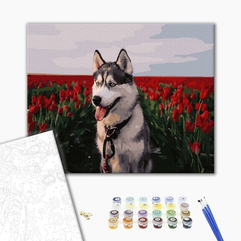 Картина по номерам Тварини, птахи та риби - Хаскі в тюльпановому полі